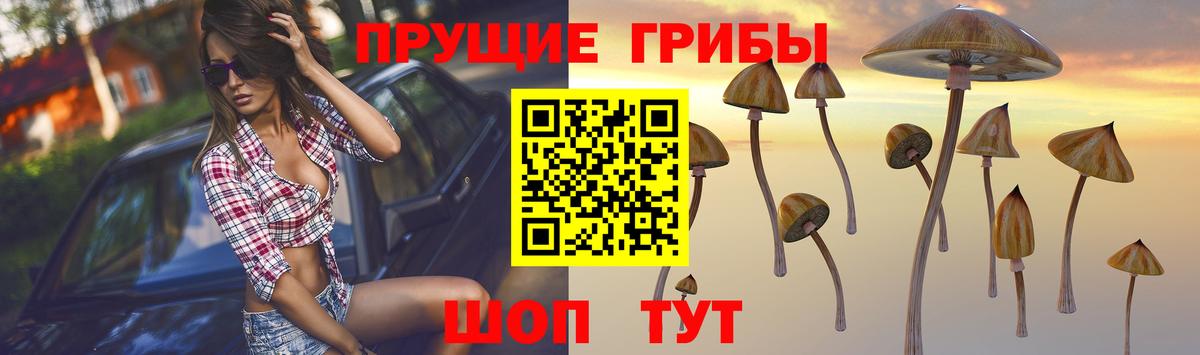 Галлюциногенные грибы прущие грибы  Вход с VPN  Нижневартовск  Галлюциногенные грибы мухоморы 